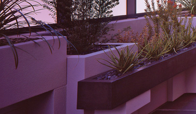 south melbourne rooftop planter h2o designs